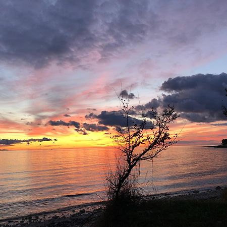 Apartamento App Sorgo Novigrad Istria Exterior foto