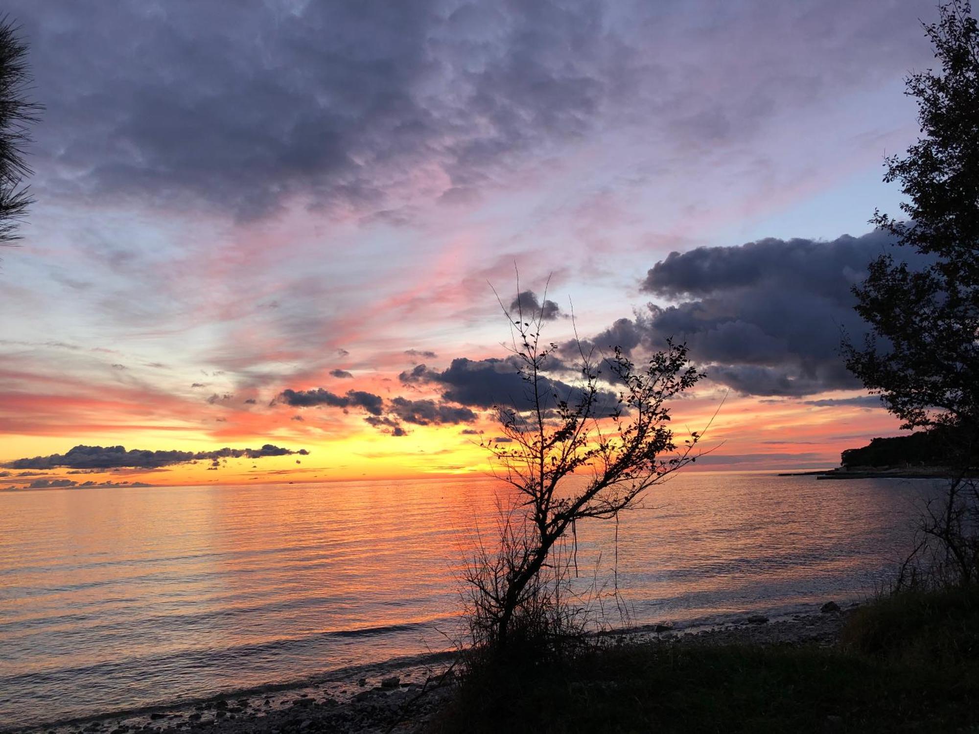 Apartamento App Sorgo Novigrad Istria Exterior foto