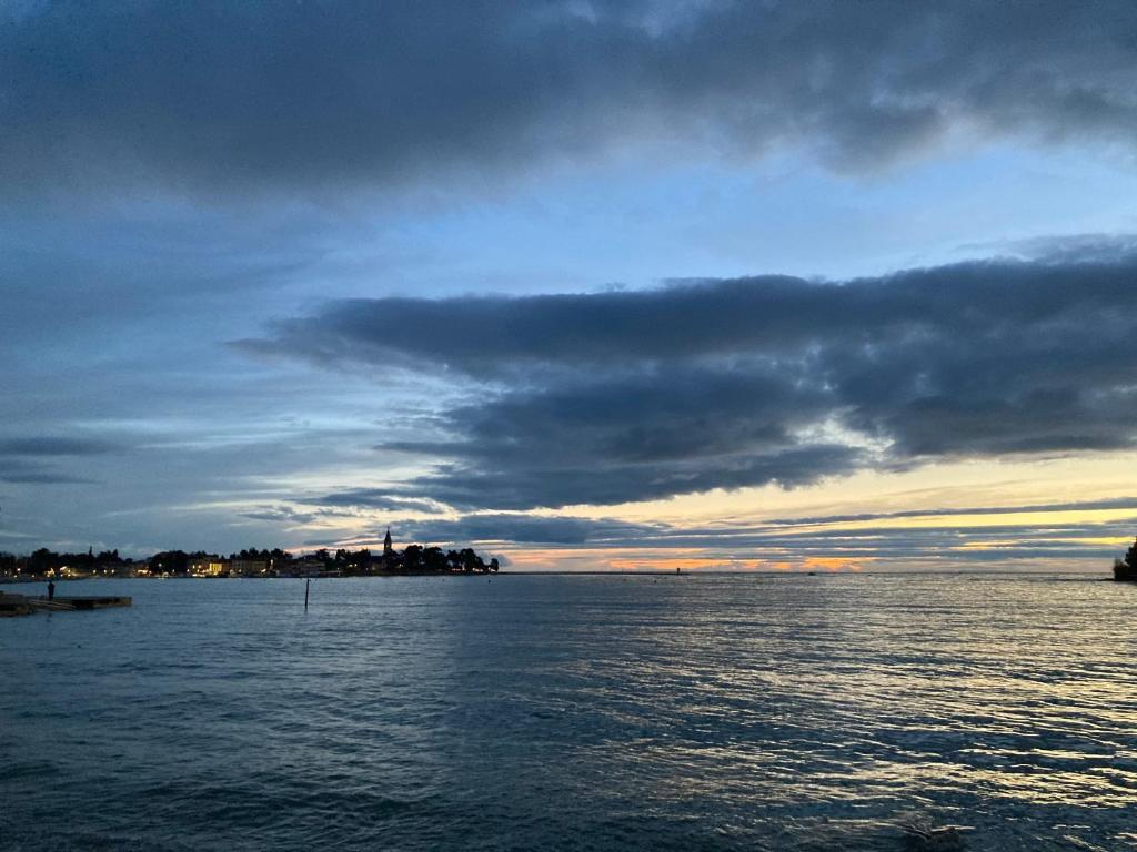 Apartamento App Sorgo Novigrad Istria Exterior foto