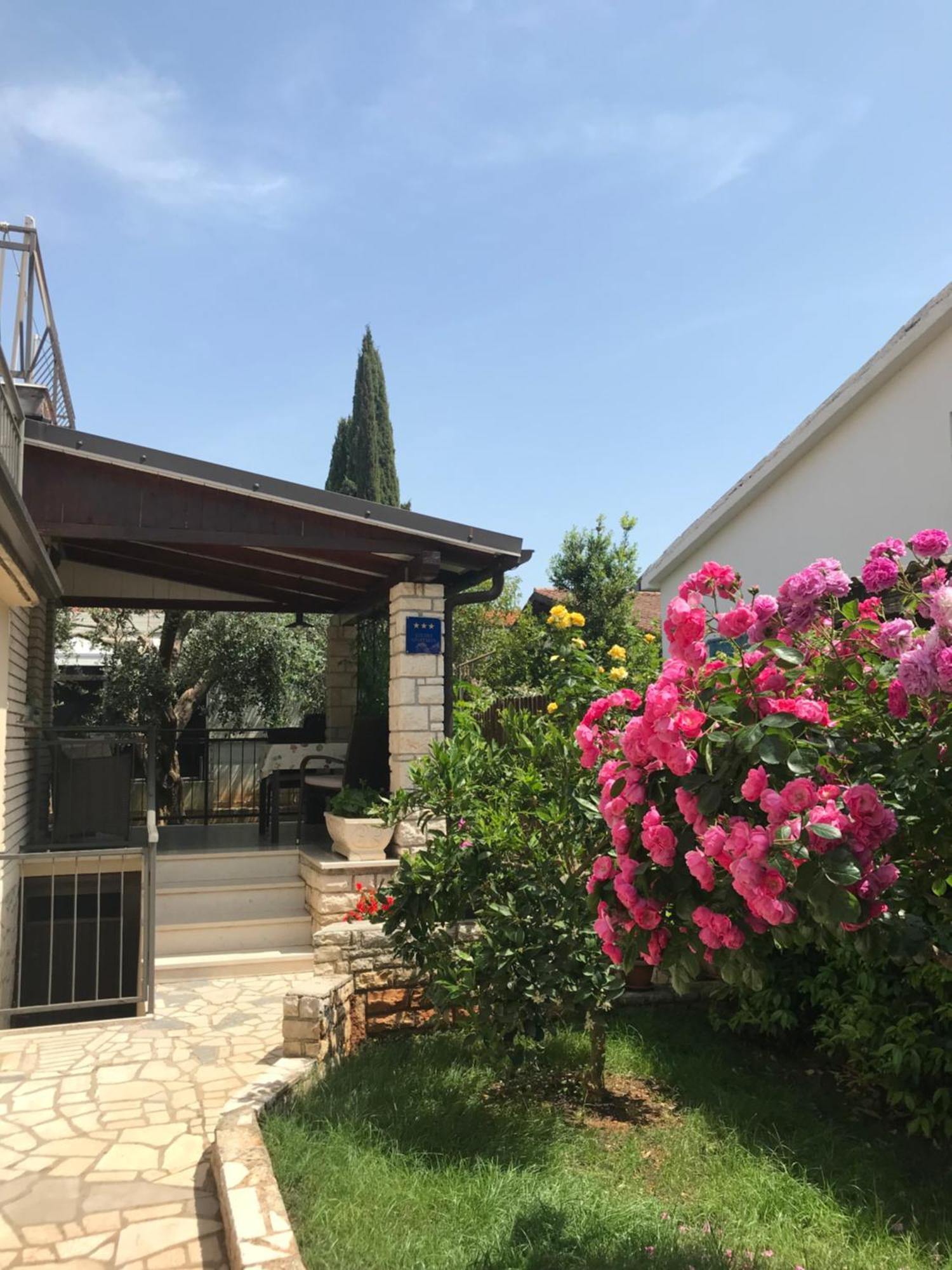 Apartamento App Sorgo Novigrad Istria Exterior foto